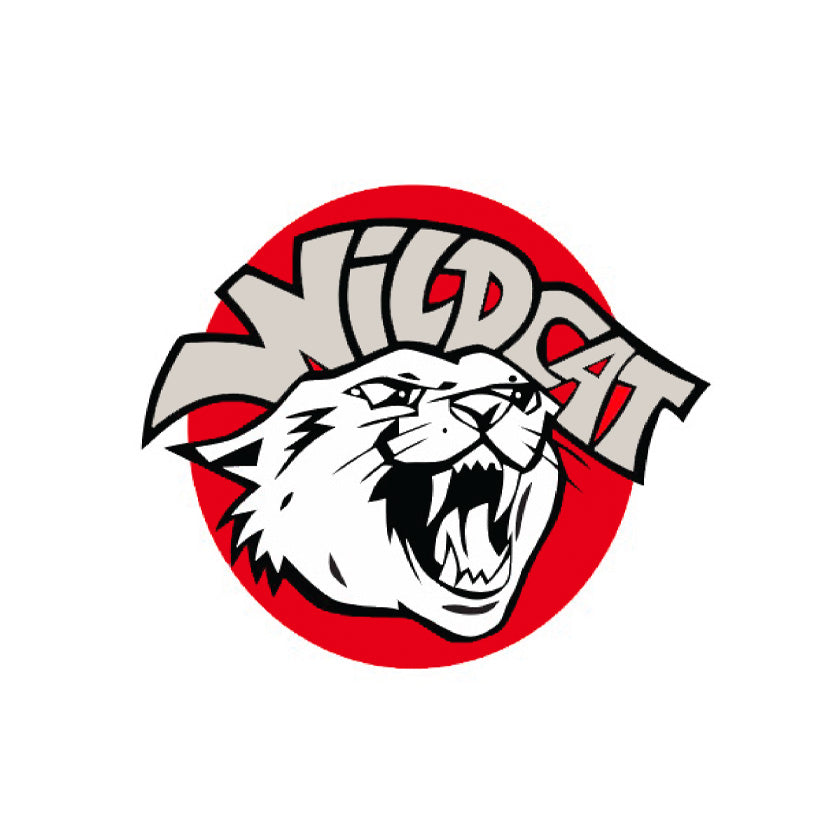 Wildcat Surfboards